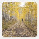 Search for gunnison stickers Scenic