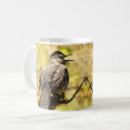 Search for birds singing mugs Wildlife