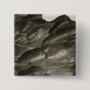 Search for colorado river accessories View