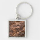 Search for desolate key rings Dry
