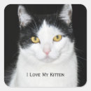 Search for black and white portrait stickers Nature