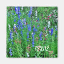 Search for bluebonnet kitchen dining Field