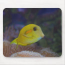 Search for fishy fish mousepads Ocean