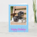 Search for shih tzu birthday cards Animal