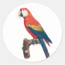 Search for vintage animal art stickers Parrot