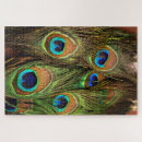 Search for peacock puzzles Photography