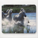 Search for horses galloping mousepads White horse