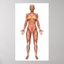 Search for abdominal posters Medical
