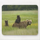 Search for usa mousepads National