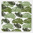Search for monstera stickers Green