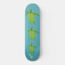 Search for turtle skateboards Beach