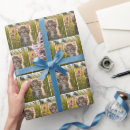 Search for tabby wrapping paper Pet