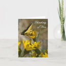 Search for swallowtail cards Photography
