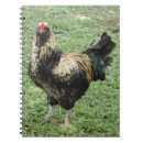 Search for fowl notebooks Animal