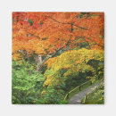 Search for rob magnets Okochi sanso