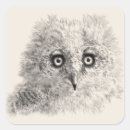 Search for owl drawing stickers Raptor