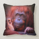 Search for orangutan cushions Ape