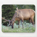 Search for bull elk mousepads Deer