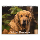 Search for golden retriever calendars Pet