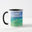 Search for great barrier reef mugs Australasia