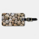 Search for blanca accessories Colour