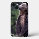 Search for grizzly electronics Usa