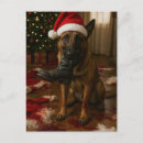 Search for malinois postcards Santa