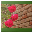 Search for garden wall tiles Leaves