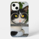 Search for curious cat iphone cases Kitty