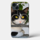 Search for curious iphone cases Kitty