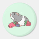 Search for cavy magnets Animal