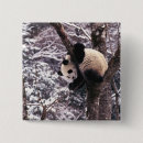 Search for pandas badges Environment