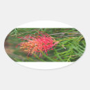Search for native flower stickers Australia