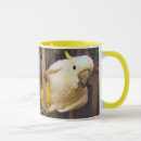 Search for cute cockatoo mugs Pet