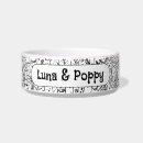 Search for graphic pet supplies Cats
