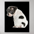Search for animal anatomy art Dark