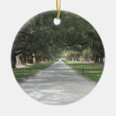 Search for charleston sc christmas tree decorations House