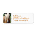 Search for palomino horse return address labels Horses