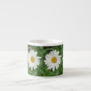 Search for floral espresso mugs Daisy
