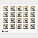 Search for palomino horse stickers Mare