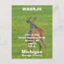 Search for whitetail deer postcards Buck