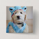 Search for mix breeds badges Goldendoodle