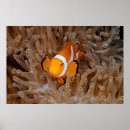 Search for molokai posters Photography