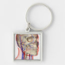 Search for human head key rings Neck