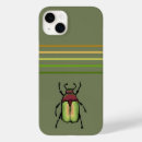 Search for beetle cases Colourful