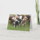 Search for dairy cards Black