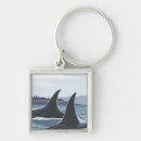 Search for whale keyring posters Original