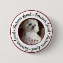 Search for maltese badges Animal