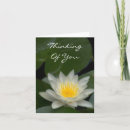 Search for think photography Floral
