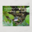 Search for spiders postcards Funny